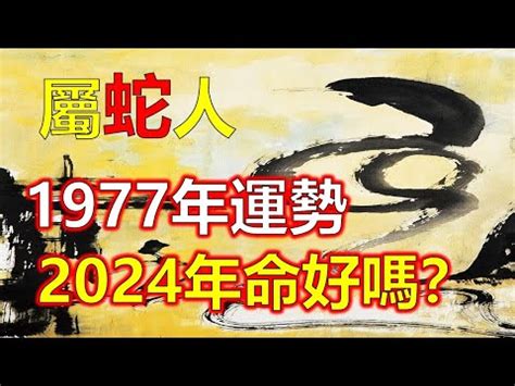 1977年農曆生肖 御書網不能看